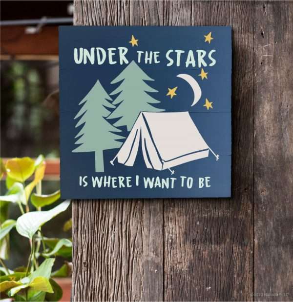 4029 Under the Stars Camping