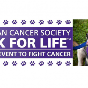 Bark for Life