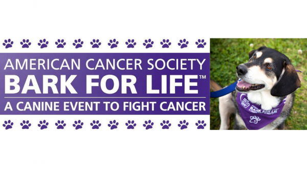 Bark for Life