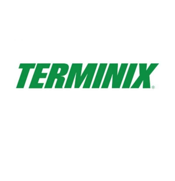 Terminex Accounting Outing 2/20