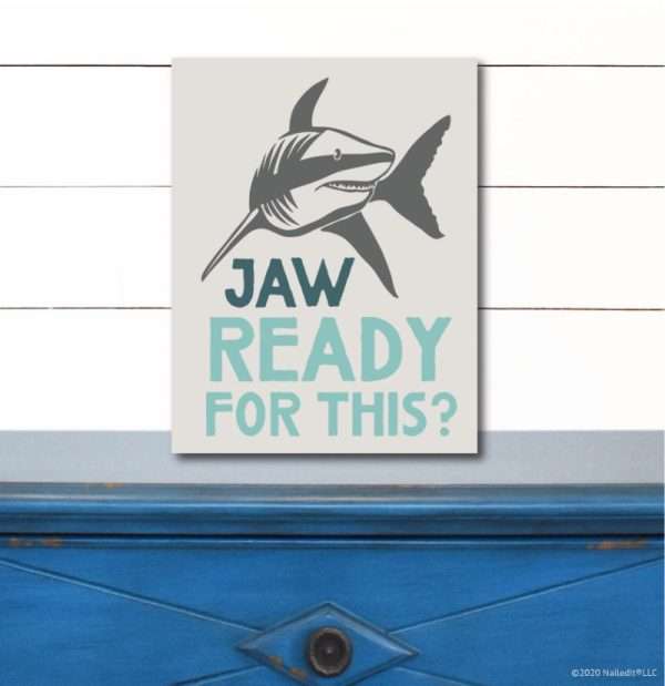 6148 Shark Ready for This