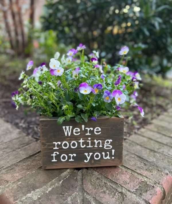 Mother's Day Planter Box Build 5/4